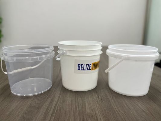 Silk Screen/Heat Transfer/IML Printing Plastic Bucket 5L/10L met afsluitbaar deksel