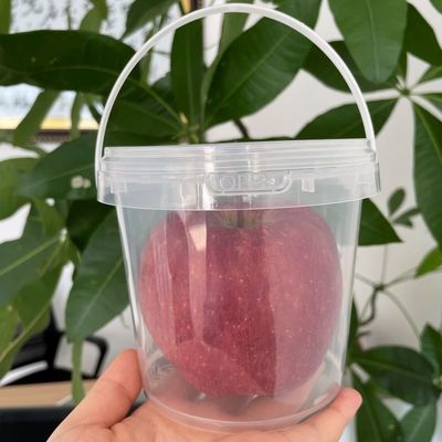 1L 2L 3L 4L 5L 8L 10L Multifunctionele plastic emmer met deksel Aanpassen JA